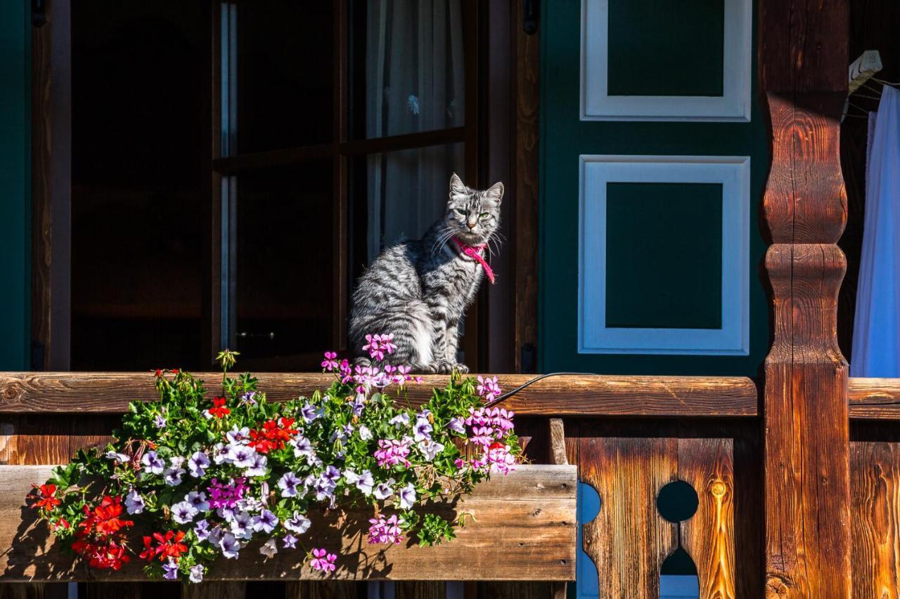 Nonna Pina Appartamento Putti Padola Bagian luar foto